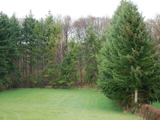 Appartement Hillesheim Buitenaudio-opname 4