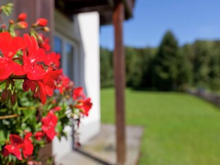 Appartement Hillesheim  29