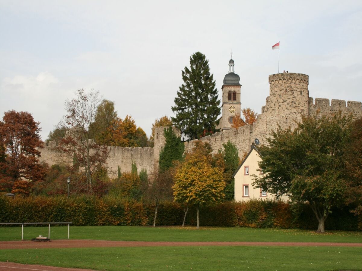 Apartment Hillesheim Umgebung 19