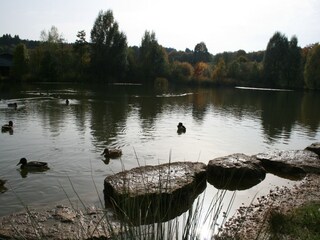 Apartment Hillesheim Environment 25