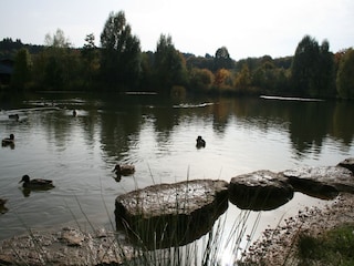 Appartement Hillesheim Omgeving 25