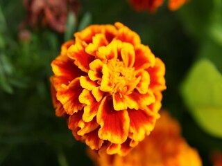 Appartamento Hillesheim  36