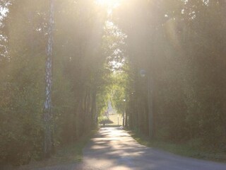 Apartment Hillesheim Environment 42