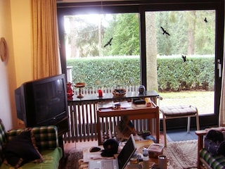 Ferienhaus Gönnersdorf Außenaufnahme 8