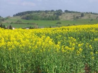 Casa per le vacanze Gönnersdorf Ambiente 27