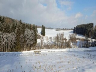 Ferienhaus Gönnersdorf Umgebung 36