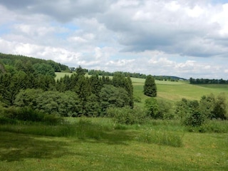 Vakantiehuis Gönnersdorf Omgeving 31
