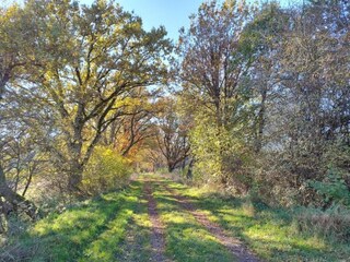 Appartamento Rommersheim Ambiente 29