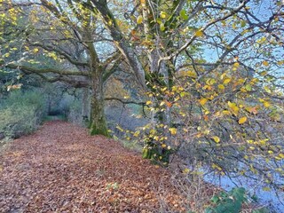 Appartement Rommersheim Omgeving 34