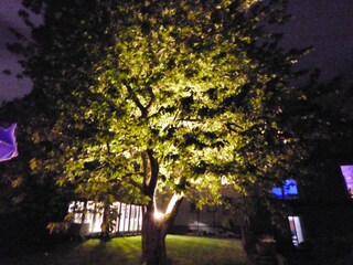 Landhaus Lascheid  39