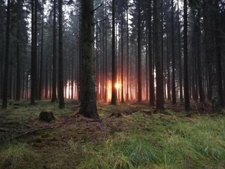 Vakantiehuisje Lascheid Omgeving 11