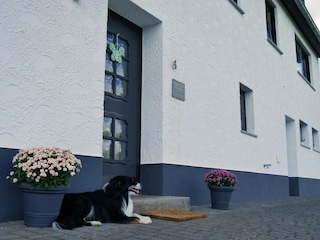 Ferienhaus Kleinlangenfeld Ausstattung 20