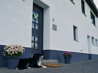Holiday house Kleinlangenfeld Features 21