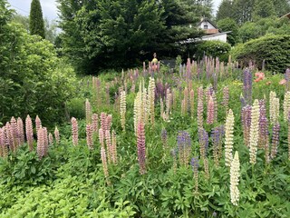 Appartement Sellerich Buitenaudio-opname 3