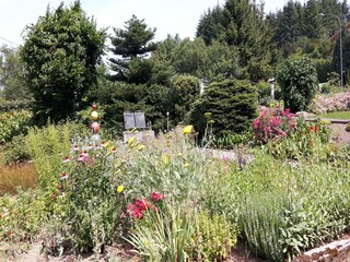 Apartment Sellerich Outdoor Recording 2