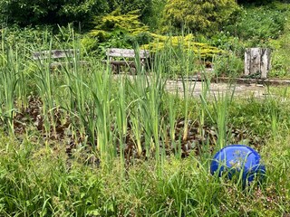 Apartment Sellerich Außenaufnahme 20