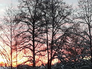 Apartamento Sellerich Entorno 36