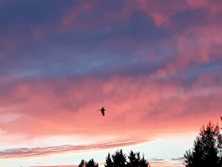 Appartamento Sellerich Ambiente 38