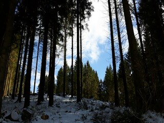 Apartamento Sellerich Entorno 35