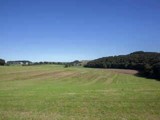 Apartment Buchet Environment 26