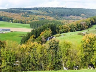 Appartamento Herzfeld Ambiente 30