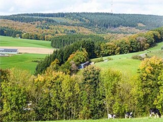 Appartement Herzfeld Environnement 30