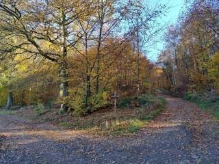 Apartment Herzfeld Umgebung 39