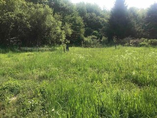 Appartement Herzfeld Omgeving 38