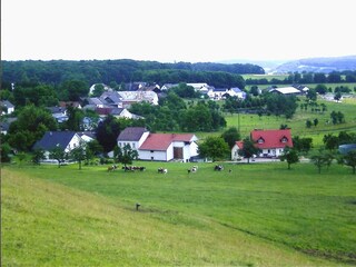Apartment Baustert Umgebung 31