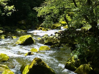 Apartment Baustert Umgebung 34