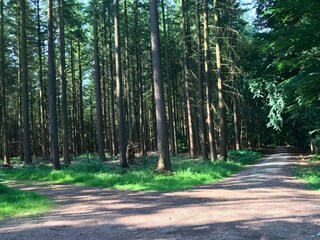 Appartement Baustert Omgeving 32