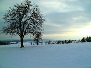 Appartamento Baustert Ambiente 36