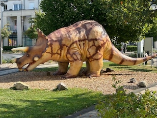 Apartment Baustert Environment 33