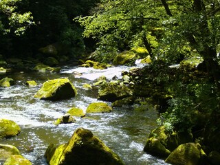 Apartamento Baustert Entorno 36