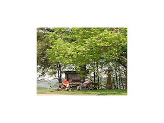 Apartment Malberg in der Eifel Umgebung 20