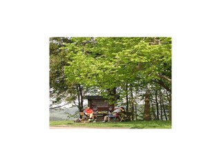 Appartement Malberg in der Eifel Omgeving 34