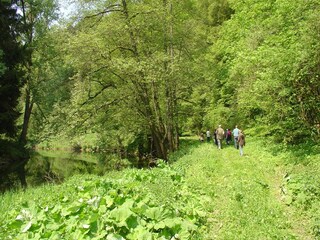 Appartement Malberg in der Eifel Omgeving 19