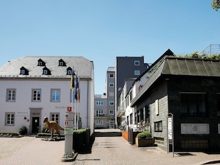 Apartment Bollendorf Außenaufnahme 4