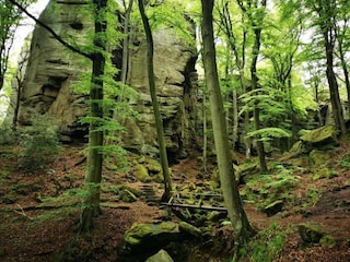 Casa per le vacanze Bollendorf Ambiente 31
