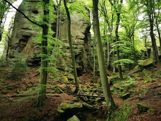 Vakantiehuis Bollendorf Omgeving 31