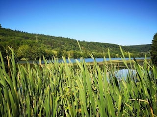 Casa per le vacanze Bollendorf Ambiente 33