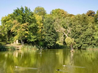 Vakantiehuis Bollendorf Omgeving 31
