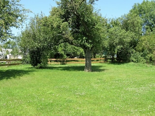 Holiday house Zweifelscheid Outdoor Recording 5