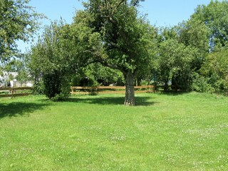 Vakantiehuis Zweifelscheid Buitenaudio-opname 3