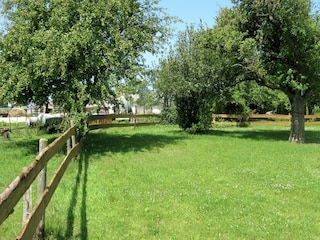 Holiday house Zweifelscheid Outdoor Recording 6