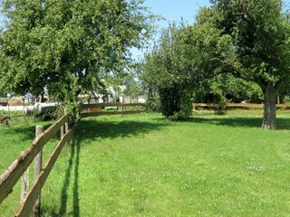 Holiday house Zweifelscheid Outdoor Recording 6