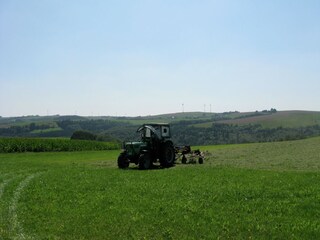 Casa per le vacanze Zweifelscheid Ambiente 37