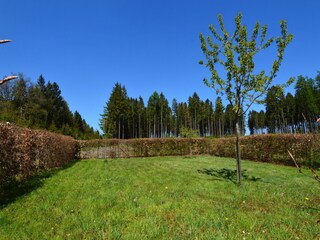 Vakantiehuis Kappel (Hunsrück) Buitenaudio-opname 6