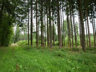 Vakantiehuis Kappel (Hunsrück) Omgeving 24