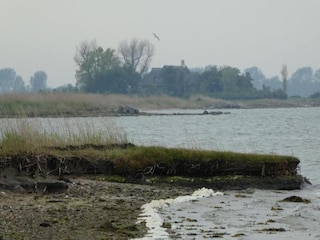 Ferienhaus Kappel (Hunsrück) Umgebung 26